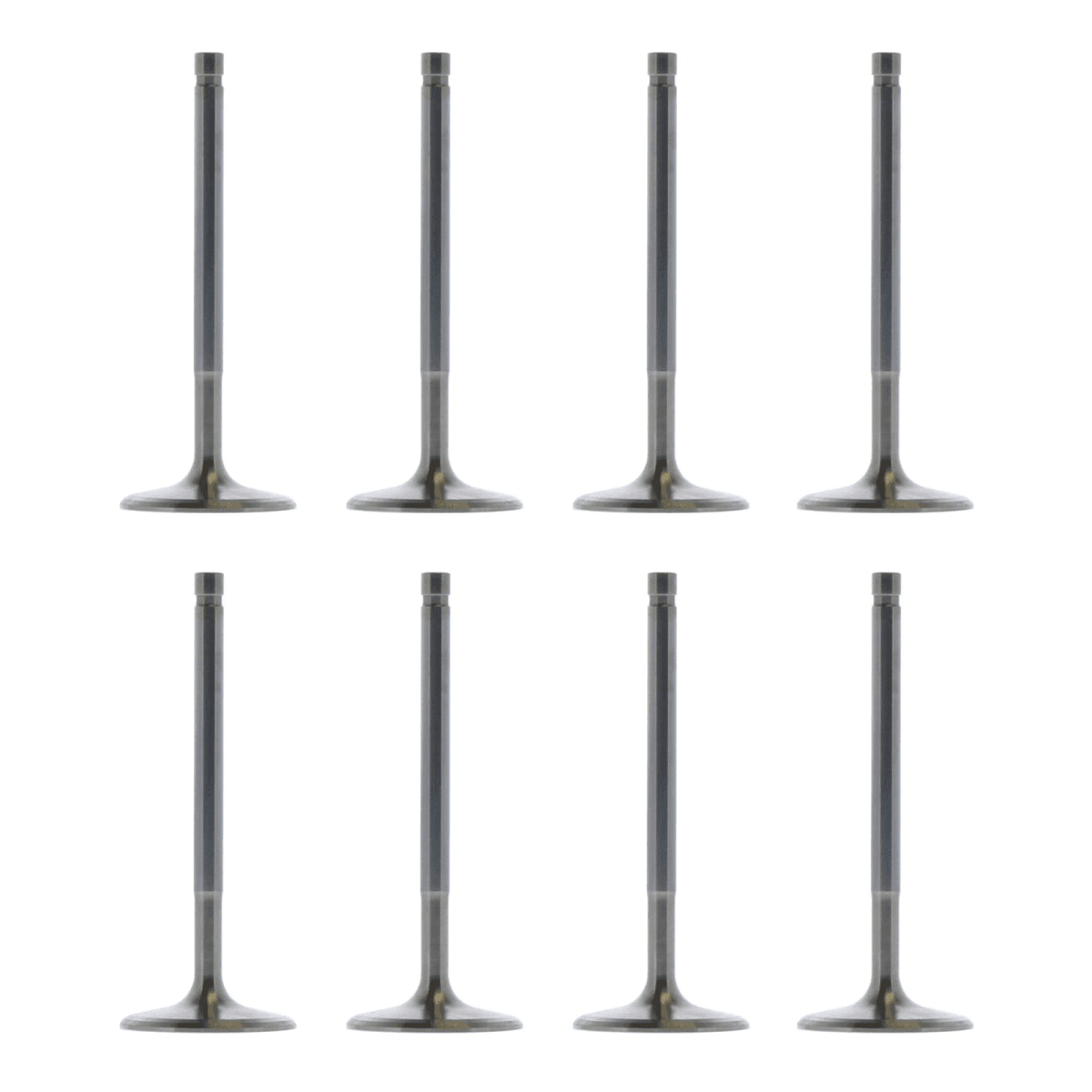 Trickflow SBM Intake Valves 2.020" Dia. / 5.200" Lgth. 6 Deg. Dish For TFS PowerPort Cylinder Head - Set of 8