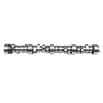 TFS Track Max Camshaft GM LS 291 int./295 exh. Lift - 112 LSA 