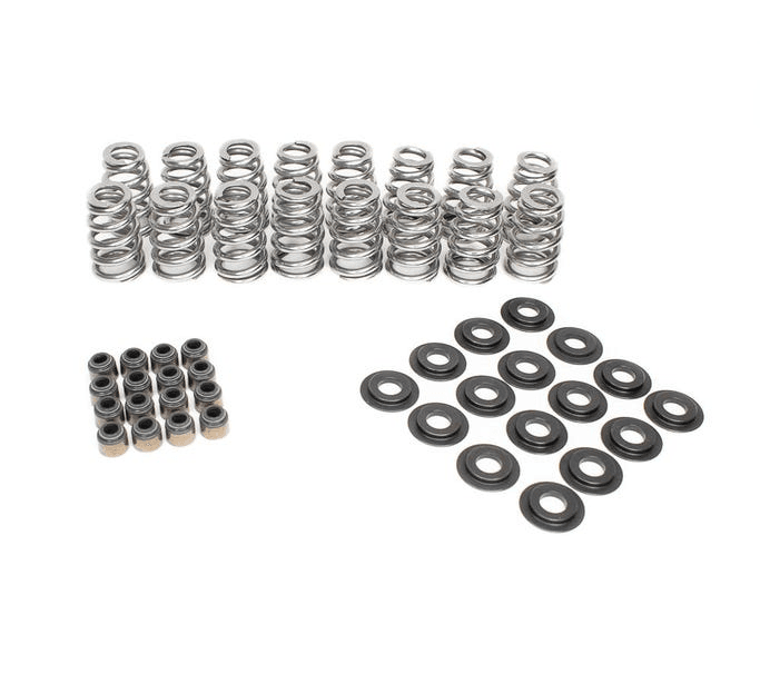 BTR LS Beehive Valve Spring Kit - .625 Lift