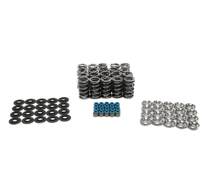 BTR SR I / SR II Gen 1 Dodge Viper V10 Dual Valve Spring Kit w/ Titanium Retainers - .660 Lift