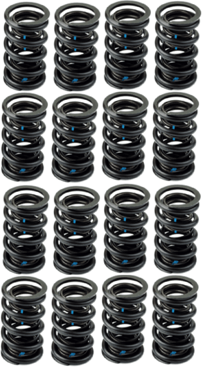 AFR 1.437" OD Hydraulic Flat Tappet Valve Spring Set - .550 Lift