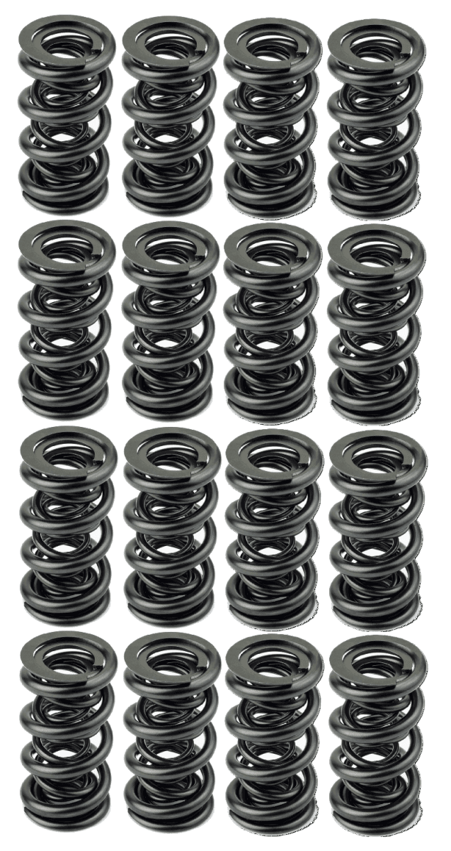 AFR 1.640" OD Solid Roller Valve Spring Set - .840 Lift