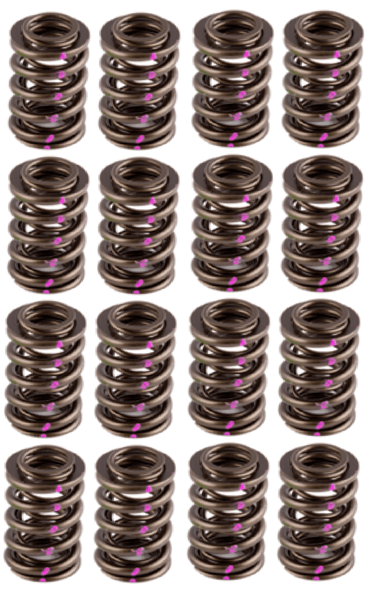 AFR 1.270" OD Hydraulic Roller Valve Spring Set - .650 Lift