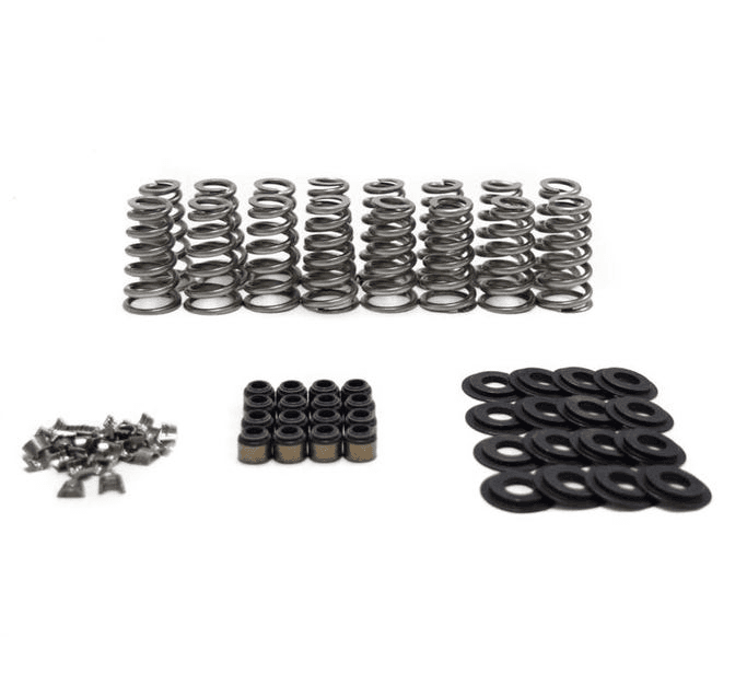 BTR Gen V LT Conical Valve Spring Kit - .650 Lift (For Bronze Guides)