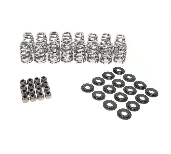 BTR Beehive Valve Spring Kit - .625 Lift (For .540 Valve Guides)