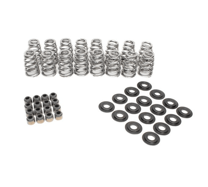 BTR Beehive Valve Spring Kit - .625 Lift (For .565 Valve Guides)