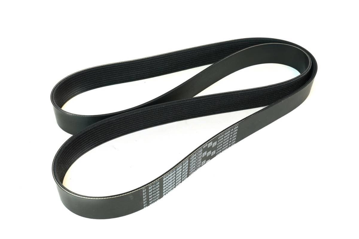 ATI / ProCharger 10-Rib Serpentine Belt